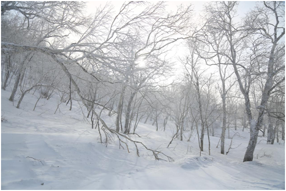 老高電商旅行團(tuán) 雪鄉(xiāng)站花絮